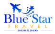 bluestar Logo